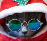 Regalos musicales de Navidad de última hora