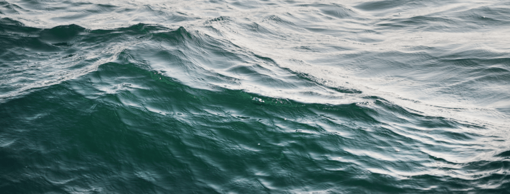 clases de música y naturaleza mar a domicilio icm